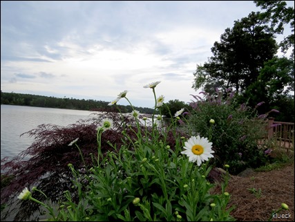 Lake Greenwood Rv Resort