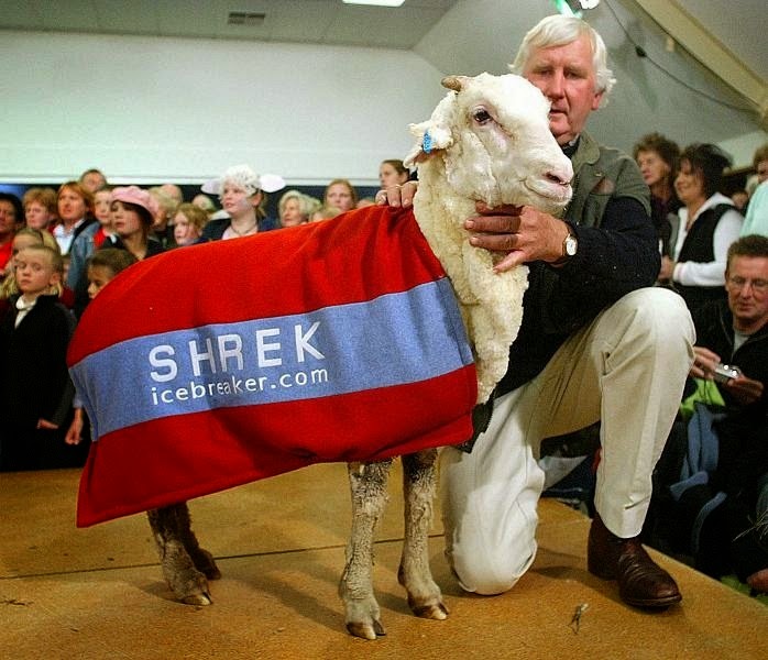 shrek-the-sheep-2 shrek-the-sheep-2
