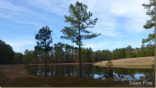 Greenway_012