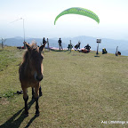 DSC01864.JPG