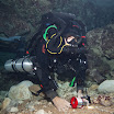IMG_6868.jpg