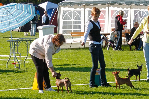 [rosie_nilla_ukk%255B4%255D.jpg]