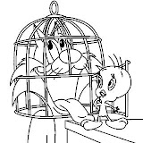 COLOREAR A PIOLIN - DIBUJOS PARA PINTAR Y COLOREAR A PIOLIN