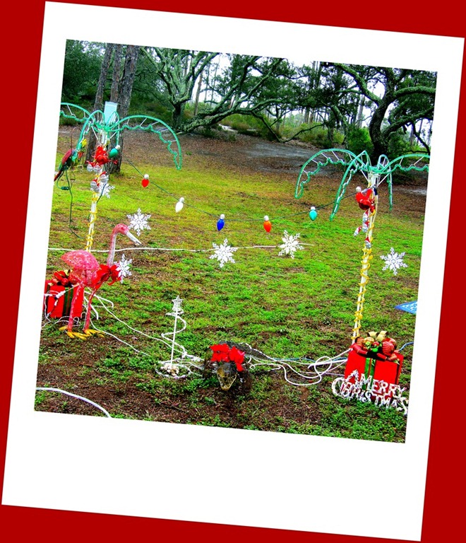 [IMG_4187_FL_Pensacola_RV%2520Christmas%255B1%255D%255B1%255D.jpg]