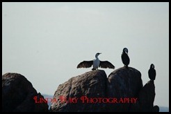 Cruise 047