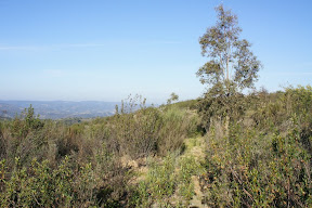 DSC06408.JPG