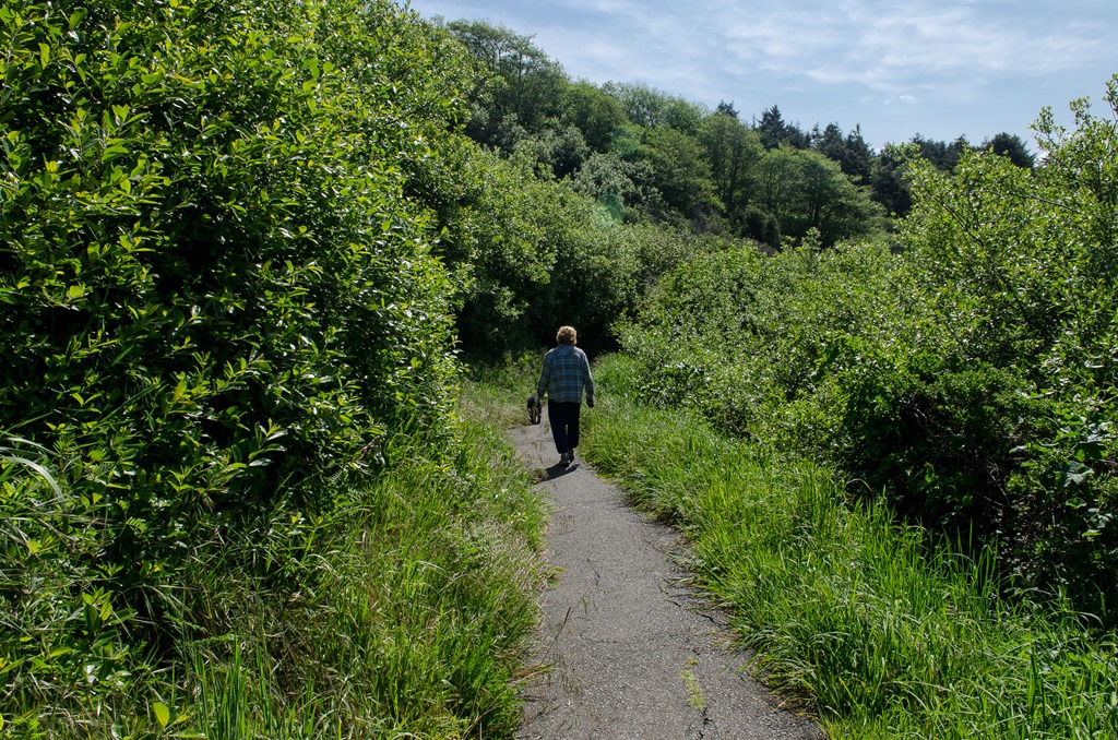 [Two%2520Trails_130%255B3%255D.jpg]