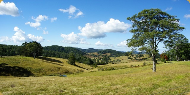 View from Rapids Road, Elands, NSW