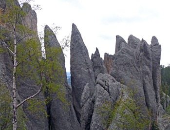 Needles Highway2