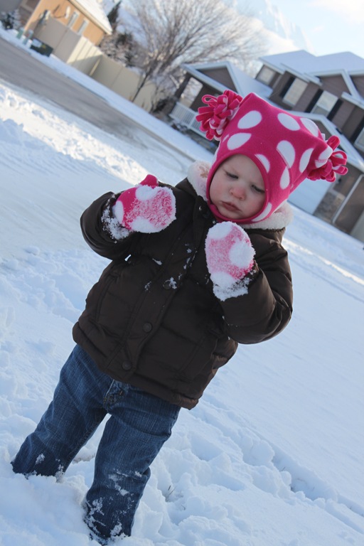 [2012-01-24%2520First%2520Snow%252041%255B4%255D.jpg]