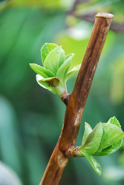 [DSC_0338%255B6%255D.jpg]