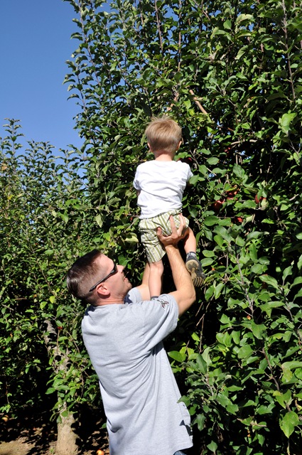 [Finley%2520and%2520Daddy%2520Picking%2520Apple%255B5%255D.jpg]