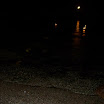 100_2466.jpg