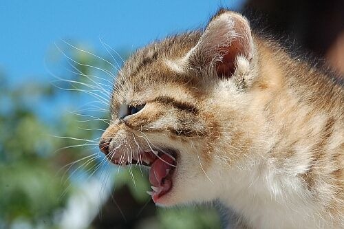 [clip_image004%5B4%5D.jpg]