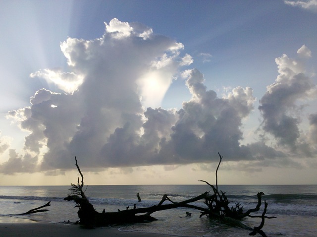 [2011%2520ECO%2520Run057%255B3%255D.jpg]