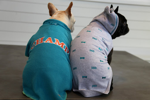 Right, Sharkey!  She made coats for both of us that said 'DOG' in varsity letters.  I like that yours says 'CHAMP' on it.  I also love the turquoise embroidery on my grey hoodie!  I like when we color-coordinate!
