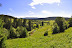 Meandry Křemelné