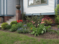 Estelle's spring flowers