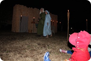 IMG_0457e