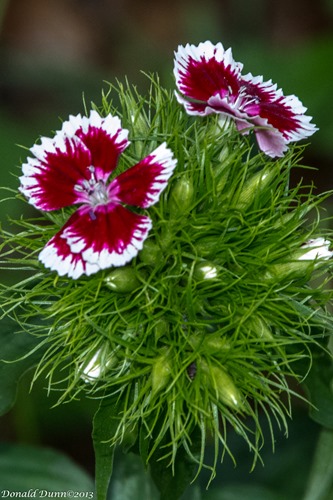 [130517_E-10%255B4%255D.jpg]