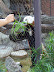 National Zoo in August