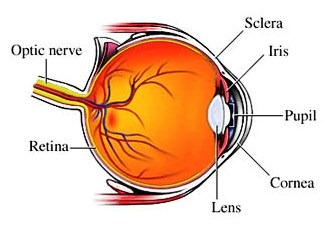 Curar el astigmatismo naturalmente y sin cirugías