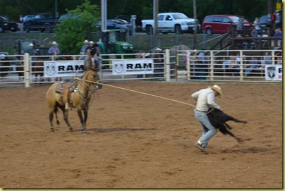 Rodeo 14