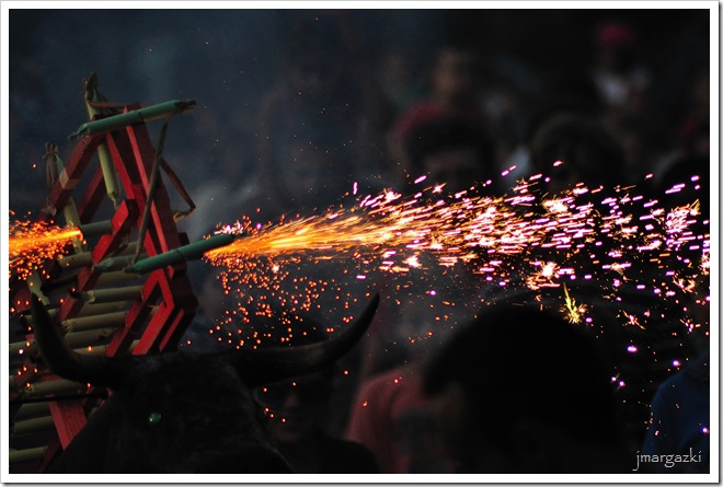 DSC_1696 DSC_1696