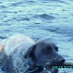 Batnuni Fishing trip 046.JPG