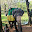 ELEFANT SRI LANKA