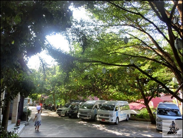 [CIMG11412.jpg]
