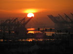 IMG_7553.JPG