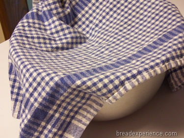 [sprouted-wheat-bread%2520009%255B2%255D.jpg]