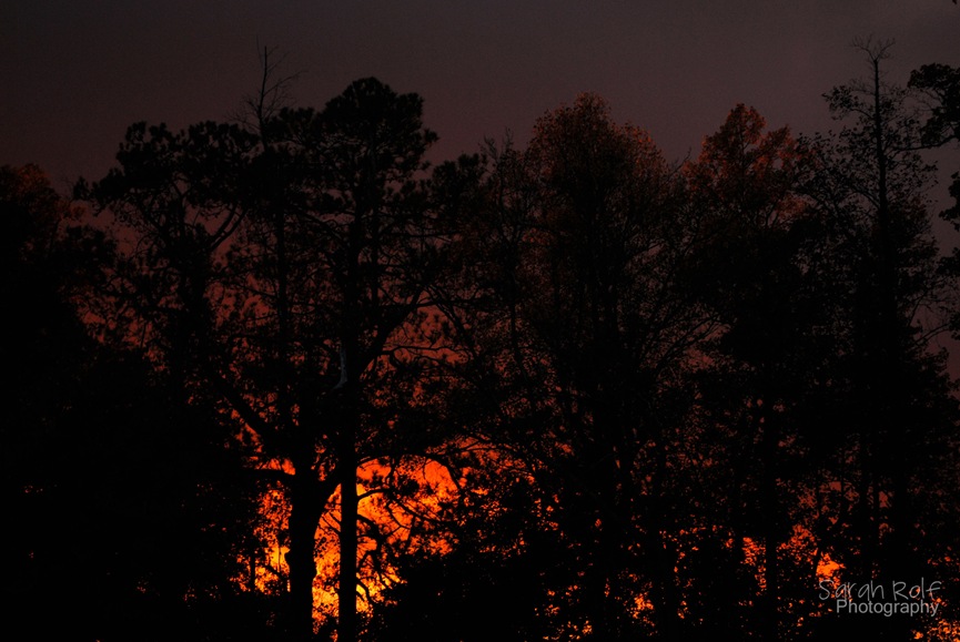 [on-fire-sunset%255B3%255D.jpg]