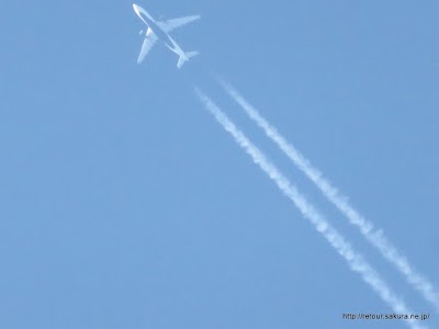 IMG_7922.JPG