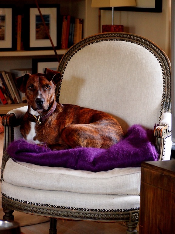 [29%2520Aug%25201%255B3%255D.jpg]