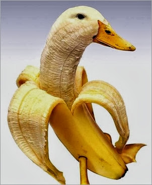 funny-banana-pictures-of-fruits-fun-bajiroo-humor-blog-images-photos-6