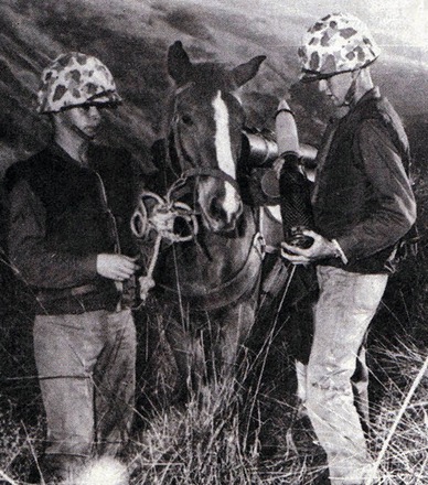 [Sgt-Reckless-MCRD-SDMHS-3-of-4WEB%255B5%255D.jpg]