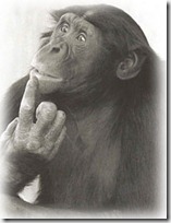 monos piensan blogdeimagenes (8)