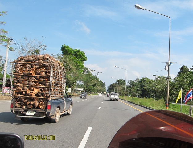 [IMG_70111.jpg]