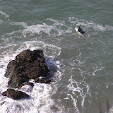 Surfer1.JPG