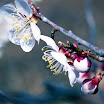 20090404 Pro400H_31-Edit.jpg