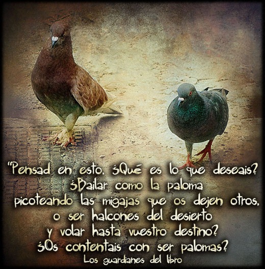 palomas