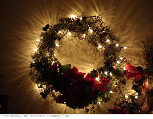 'wreath, close up' photo (c) 2006, Erin Stevenson O'Connor - license: http://creativecommons.org/licenses/by-sa/2.0/