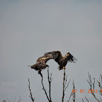 DSCN9661.JPG