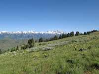 IMG_0339.JPG Photo