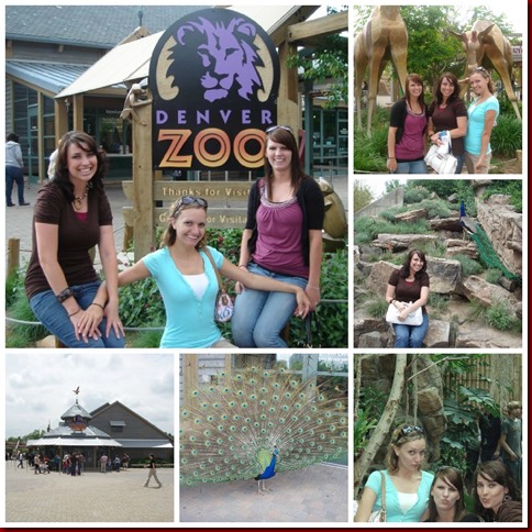 denver zoo