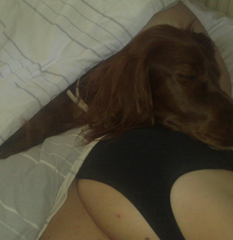 [Bild355-001%255B3%255D.jpg]