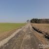 dsc06817.jpg