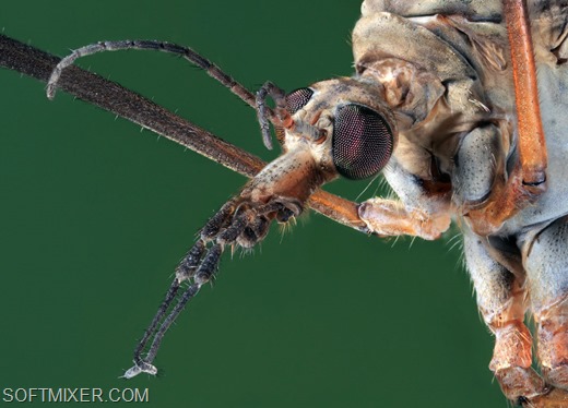 [73478%255B8%255D.jpg]